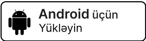 Android Download Icon